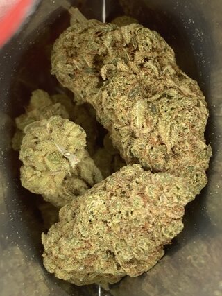 IMG_3170.jpeg