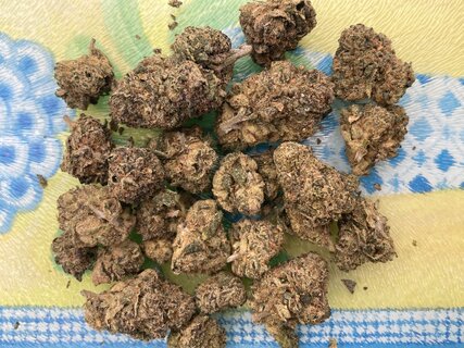 IMG_3177.jpeg