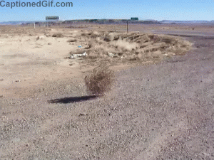 346543563.gif