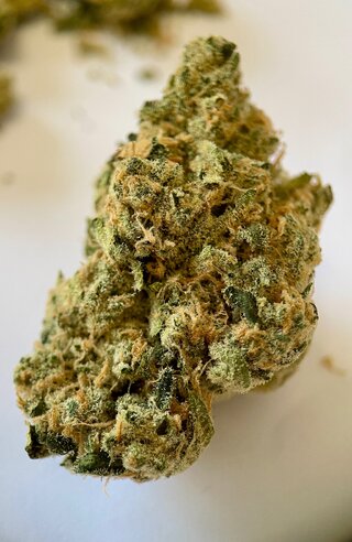 IMG_4610.jpeg