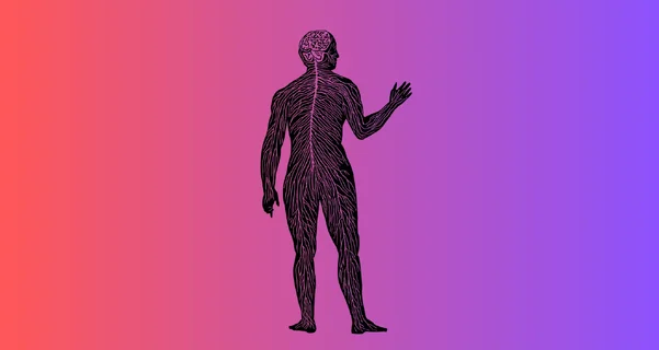 ‘You Can’t Treat What You Can’t Measure’ – The Plan to Make the Endocannabinoid System Impossible to Ignore