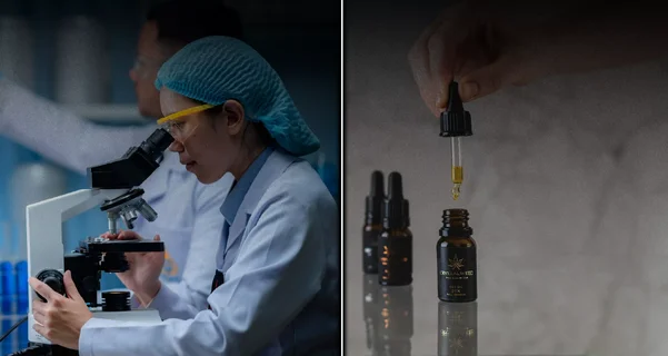 Clinical Evidence vs. Food Law: Europe’s CBD Dilemma