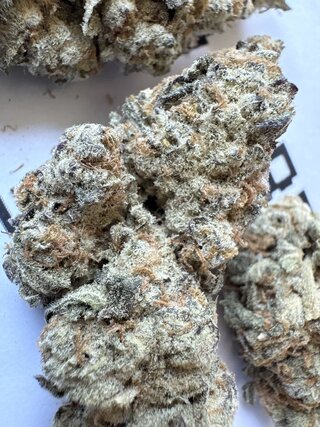 IMG_2744.jpeg