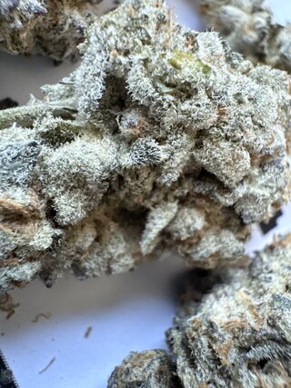 IMG_2745.jpeg