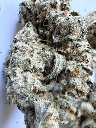 IMG_2748.jpeg