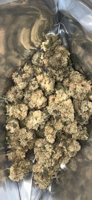 IMG_0536.jpeg