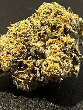 IMG_7182.jpeg