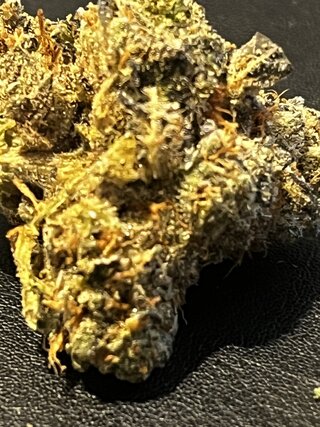 IMG_7181.jpeg