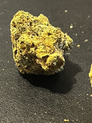 IMG_7192.jpeg