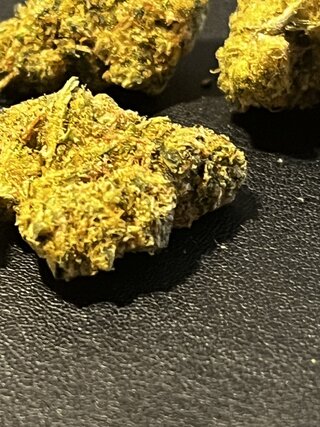 IMG_7195.jpeg