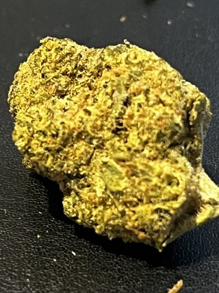 IMG_7196.jpeg