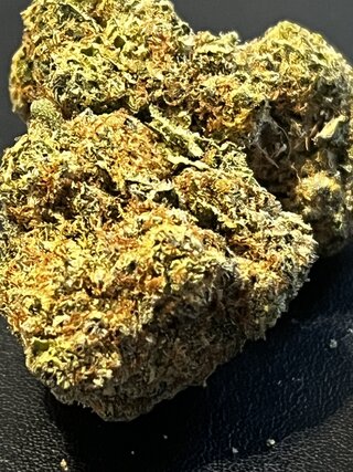 IMG_7205.jpeg