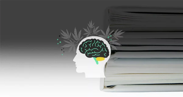 The Cannabis Mental Health Evidence Gap: Association vs. Causation