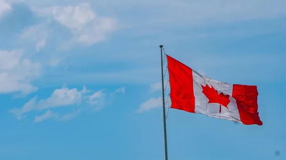 Overwhelming Majority (80%) of Canadian Cannabis Now Sourced from Legal Distributors in Major Turnaround