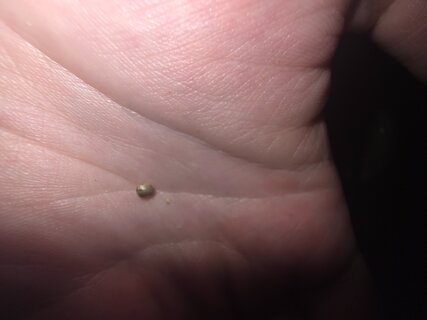 20260310_193924.jpg