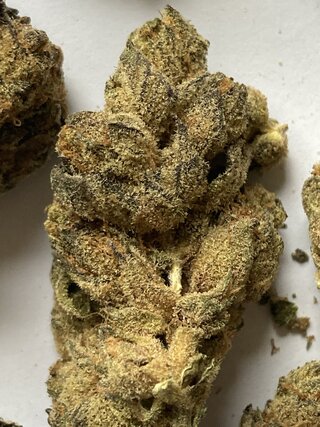 IMG_3205.jpeg