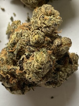 IMG_3202.jpeg