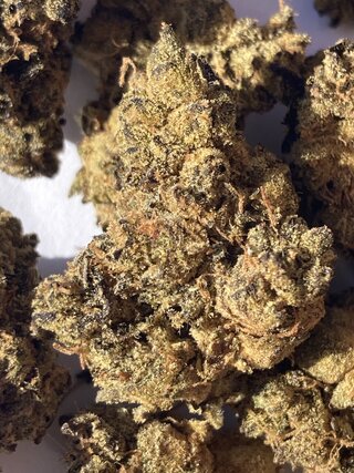 IMG_3234.jpeg