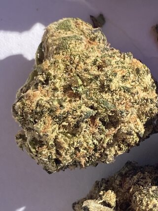 IMG_3244.jpeg