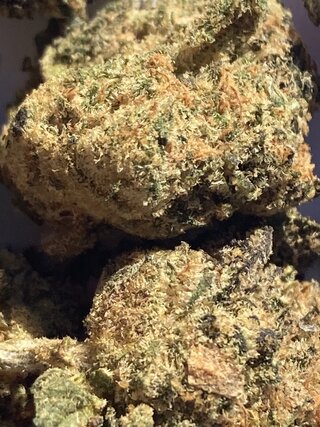 IMG_3241.jpeg