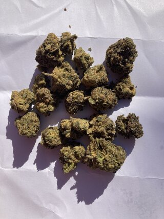 IMG_3240.jpeg