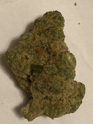 IMG_3247.jpeg