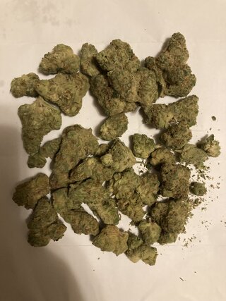 IMG_3246.jpeg