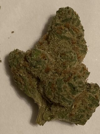 IMG_3248.jpeg