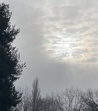 IMG_3255.jpeg