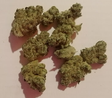 nugs1.jpg
