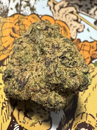 IMG_5231.jpeg