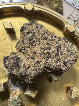 IMG_5235.jpeg