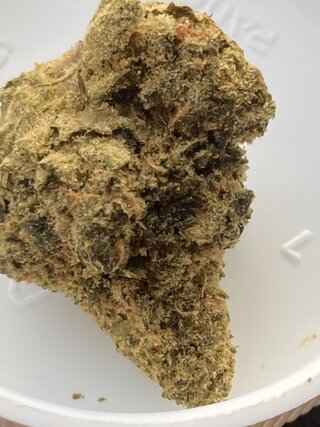 IMG_2041.jpeg