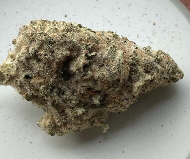 IMG_2055.jpeg