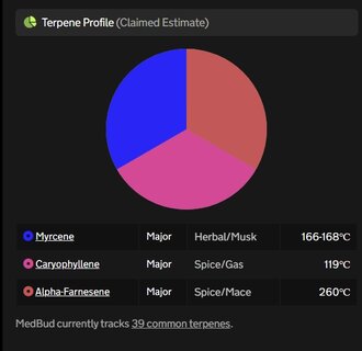 Screenshot_4-2-2025_132926_medbud.wiki.jpeg