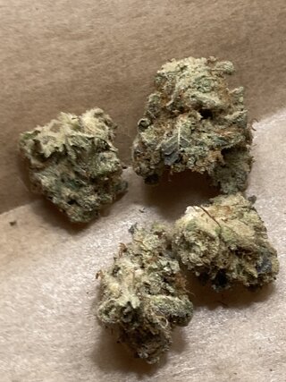 IMG_2066.jpeg