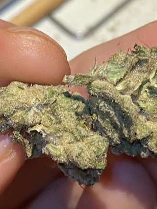 IMG_0897.jpeg