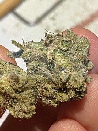 IMG_0898.jpeg