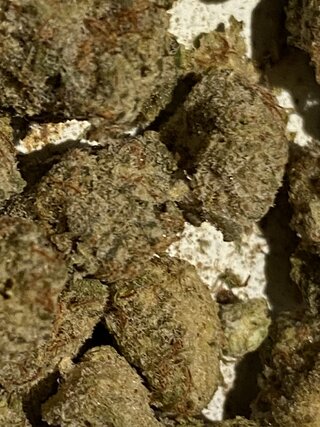 IMG_0904.jpeg