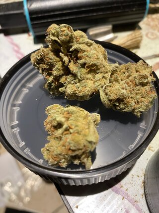 IMG_0911.jpeg