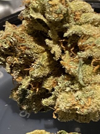 IMG_0914.jpeg