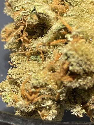 IMG_0912.jpeg