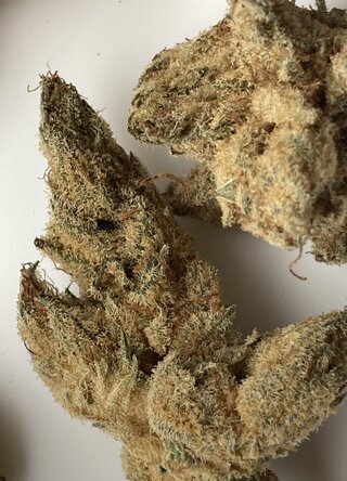 IMG_2083.jpeg