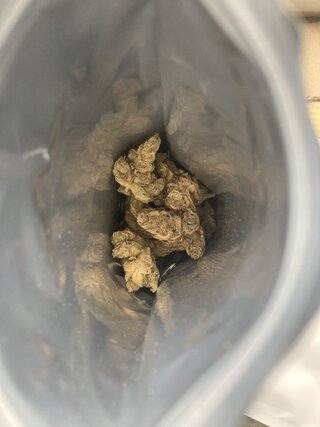 IMG_2089.jpeg