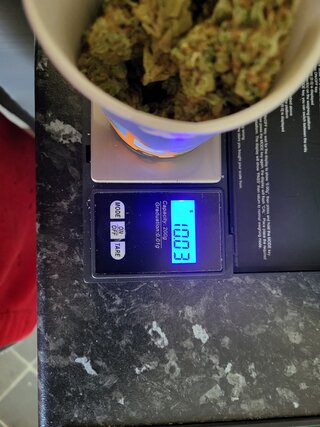 1000010787.jpg