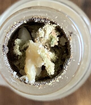 IMG_2118.jpeg