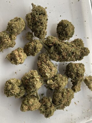 IMG_2128.jpeg