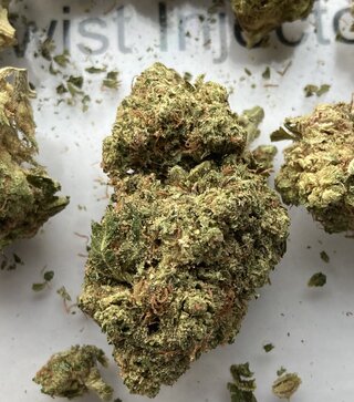 IMG_2136.jpeg