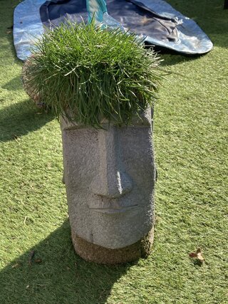 IMG_2146.jpeg
