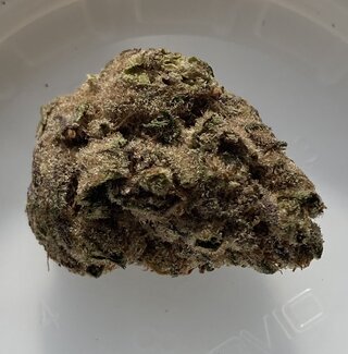 IMG_2180.jpeg